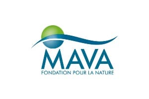 Mava Foundation