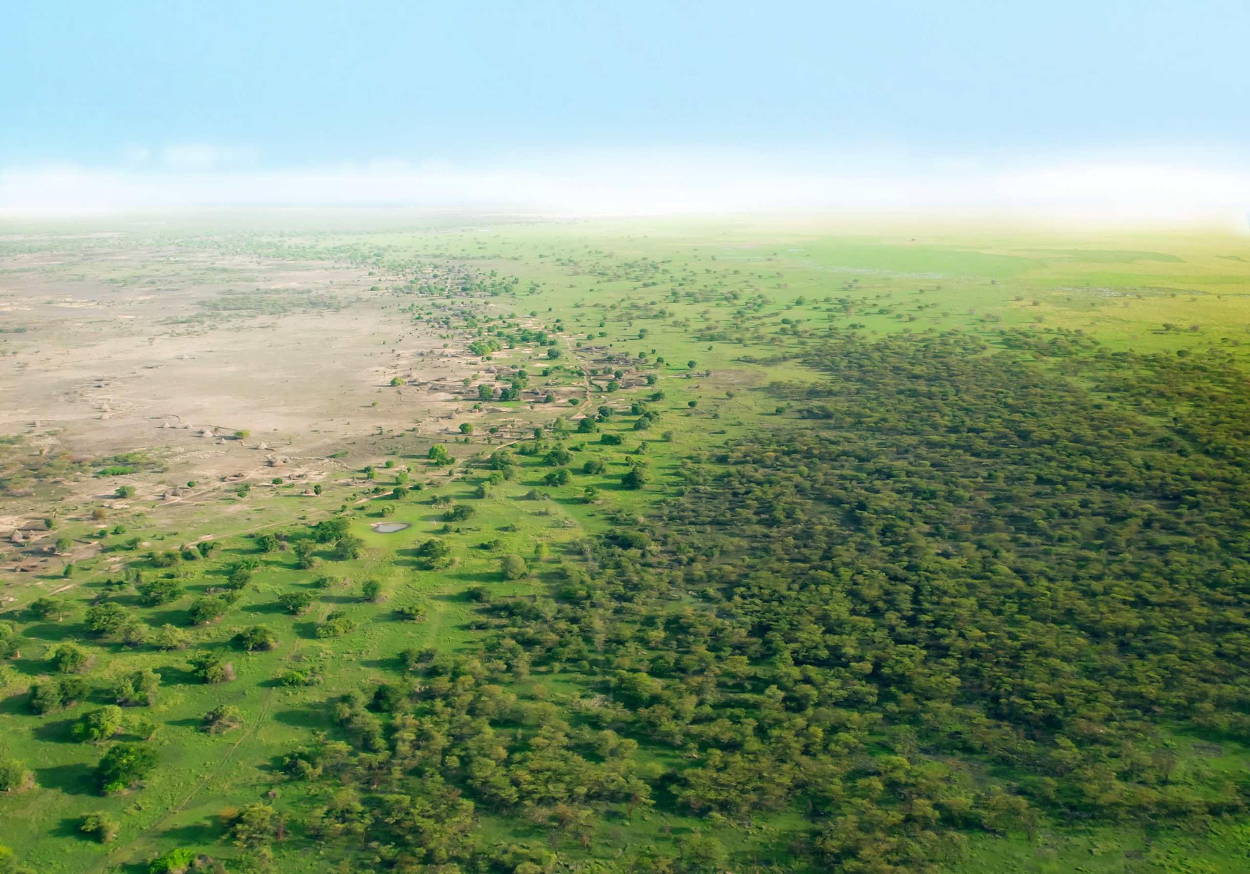 The Great Green Wall: an epic plan to hold back desert across Africa