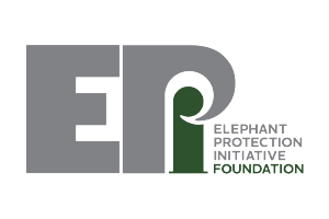 EPI Foundation