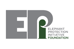 EPI Foundation